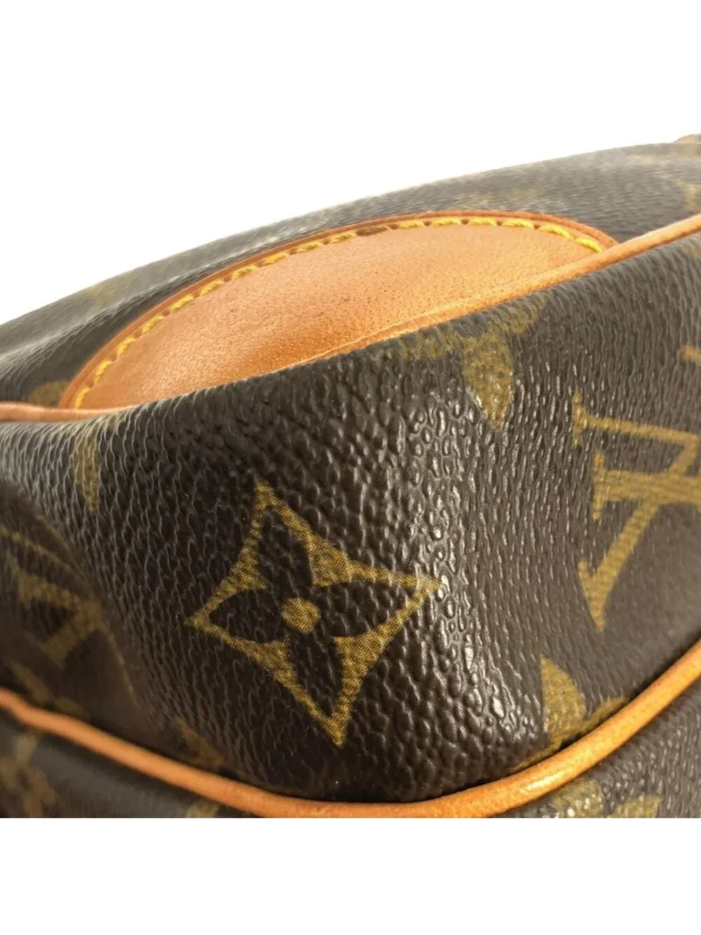 Louis Vuitton Monogram Amazon Shoulder